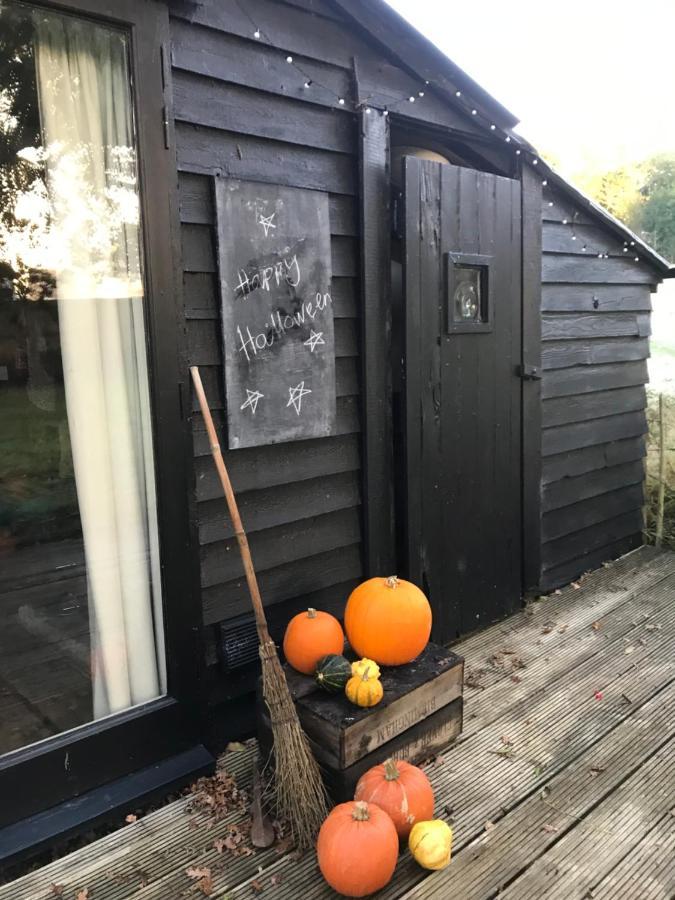 The Old Apple Shed Cosy Heated Cottage In A Meadow Close To The Charming Village Of Bethersden Ashford  Exteriör bild