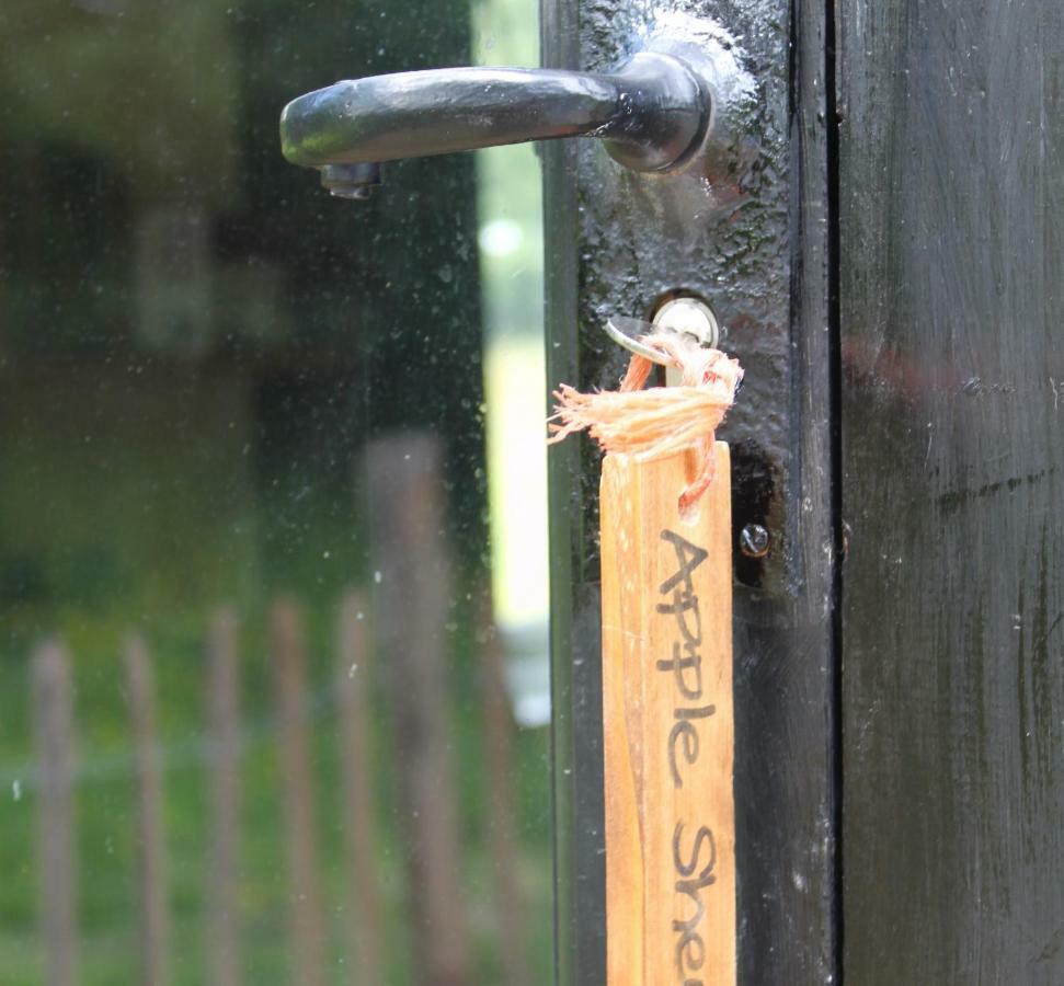 The Old Apple Shed Cosy Heated Cottage In A Meadow Close To The Charming Village Of Bethersden Ashford  Exteriör bild